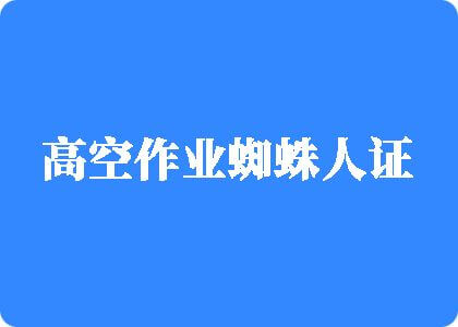 老大婆水多视频高空作业蜘蛛人证